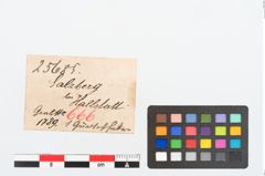 Etikett zu Bronzegürtelhaken (NHMW-PRAE-025685)